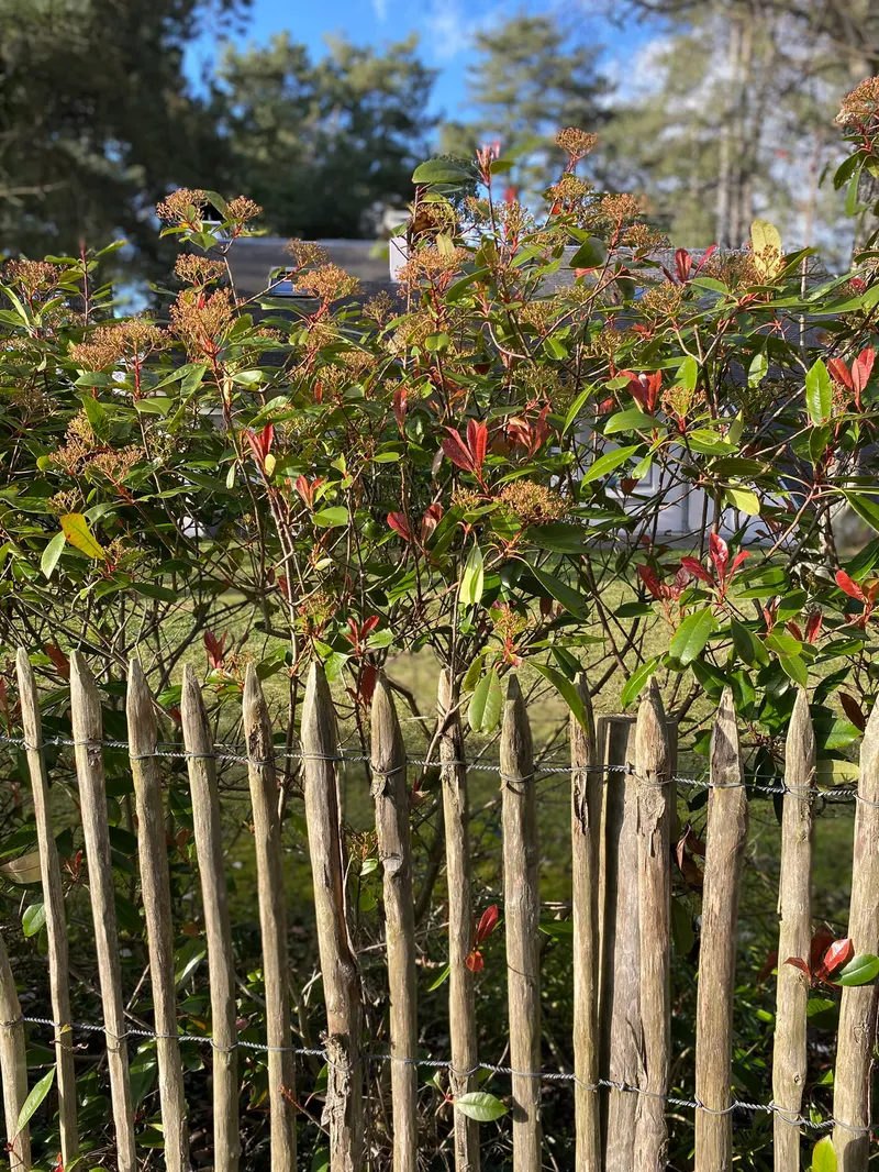Le jardin clos